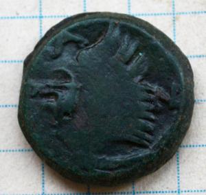 DSC_7628 (Custom).JPG