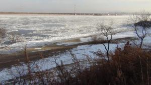 DSC00525 (Копировать).JPG