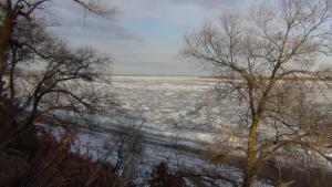 DSC00526 (Копировать).JPG