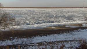 DSC00527 (Копировать).JPG