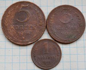 DSC_7865 (Custom).JPG