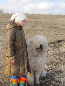 Новое изображение2.JPG