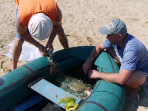 S5005145 (Копировать).JPG