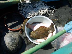 S5005146 (Копировать).JPG