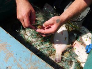 S5005148 (Копировать).JPG