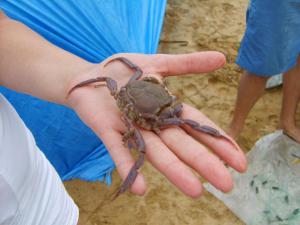 S5005178 (Копировать).JPG