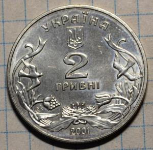 DSC_8206 (Custom).JPG