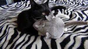 DSC00608 (Копировать).JPG