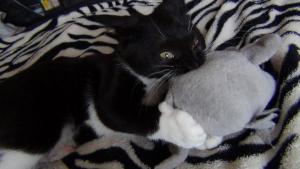 DSC00610 (Копировать).JPG