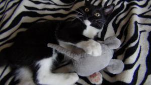 DSC00611 (Копировать).JPG