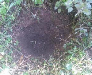 2016-08-29 10-09-18.JPG