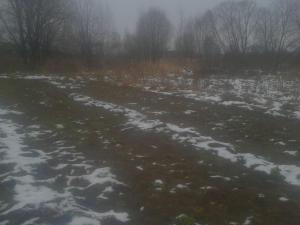 2016-11-16 08.04.24.jpg