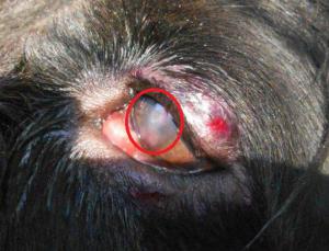 DSCN3891 - копия.JPG