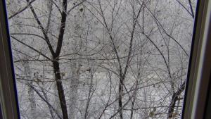 DSC00642 (Копировать).JPG