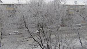 DSC00643 (Копировать).JPG