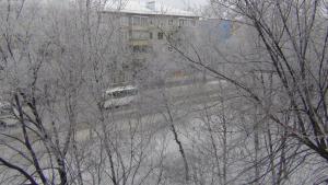 DSC00644 (Копировать).JPG