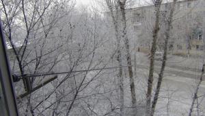 DSC00645 (Копировать).JPG