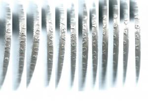 1724 гурт по кругу.jpg