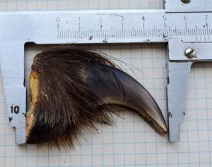 DSC_8679 (Custom).JPG