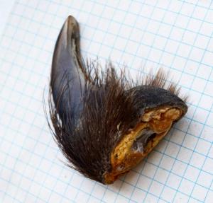 DSC_8680 (Custom).JPG