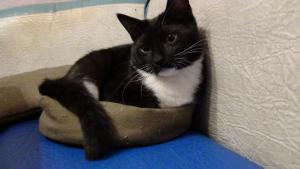 DSC00657 (Копировать).JPG