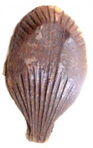 Изображение 18644.jpg