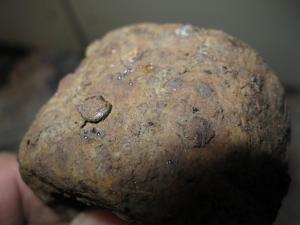 Изображение 715.jpg