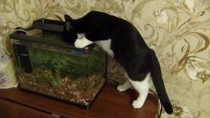 DSC00684 (Копировать).JPG