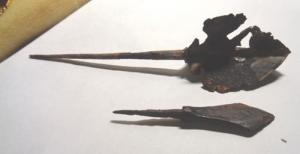 Изображение 18962.jpg