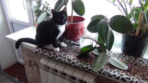 DSC00700 12-18-2016.JPG