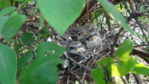 DSC00182 12-20-2016.JPG