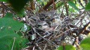 DSC00183 12-20-2016.JPG