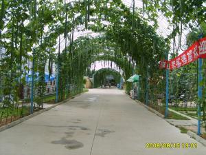 Изображение 115 12-23-2016.jpg