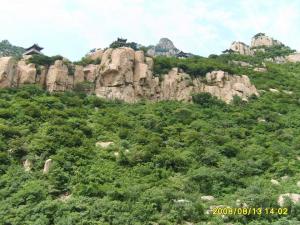 Изображение 133 12-23-2016.jpg