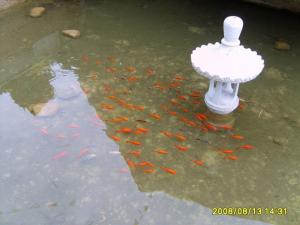 Изображение 156 12-23-2016.jpg