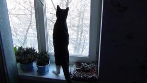 DSC00710 12-23-2016.JPG