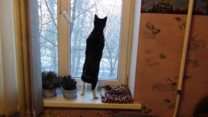 DSC00712 12-23-2016.JPG