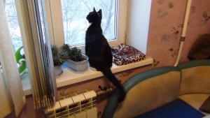 DSC00713 12-23-2016.JPG