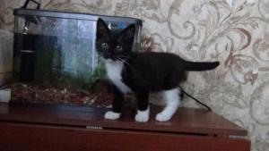 DSC00339 12-26-2016.JPG