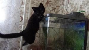 DSC00341 12-26-2016.JPG