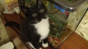 DSC00345 12-26-2016.JPG