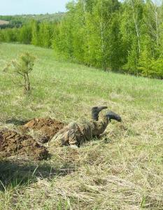 Изображение 005.jpg