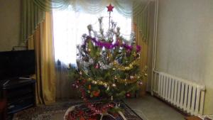 DSC00746 12-31-2016.JPG