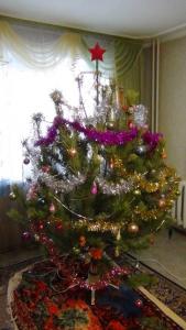 DSC00747 12-31-2016.JPG