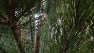 DSC00750 12-31-2016.JPG