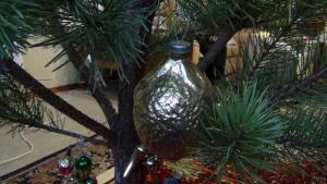 DSC00753 12-31-2016.JPG