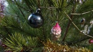 DSC00754 12-31-2016.JPG