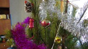 DSC00757 12-31-2016.JPG