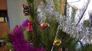 DSC00758 12-31-2016.JPG