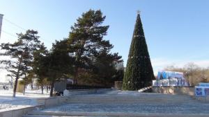 DSC00726 12-31-2016.JPG